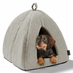 MORE Höhle Diamond -Geschäft Für Heimtierbedarf 1901edb64570eb8cb38c0e72458280ff138dcb40 856e9f8ef094dc77c4e2ce9e6d85768bffa721c6