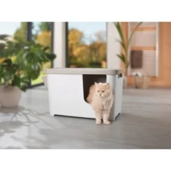 MORE FOR Katzentoilette XXL Titan -Geschäft Für Heimtierbedarf 331a65ecbdbda6a54304894f23caf93293414f9a 41a7dcb3b92b8da7531785b268f381c1b25bbf04