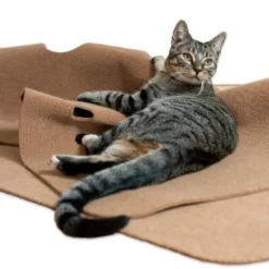 Canadian Cat Company Spielteppich Für Katzen Braun -Geschäft Für Heimtierbedarf 446d45749f5e58cb5a7dbc00eb3558dbe40784fe 1394213 de DE 80770b9625226d955903498b97e7018485822aeeDB3L2u