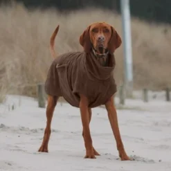 THE DOG IDEA Bademantel Every Braun XXXS -Geschäft Für Heimtierbedarf 62c517832f7f923b83b0a0ee681a77b2e33cc3c3 1473036 de DE 2393ef51979dd0191b0261c826741cb7543b7b3brAaZfV