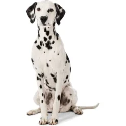 MORE Liegeplatz Cord LOOKS By Wolfgang Joop M -Geschäft Für Heimtierbedarf 6828406bf5c097465ec912985de2b95c60385f12 1410461 3