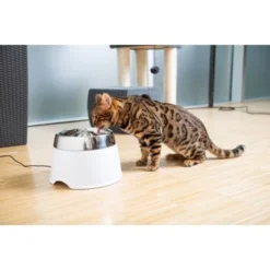 AniOne Edelstahl-Trinkbrunnen Trevi Ohne Ersatzfilter 5 AniOne Edelstahl-Trinkbrunnen Trevi Ohne Ersatzfilter -Geschäft Für Heimtierbedarf 7a066af048695bbfaeca0a855e5984fc3bf99d03 689fcf415d486ac05c07f2a4868b1d087d7a9ece