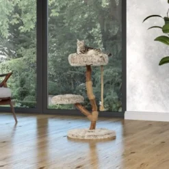 Bestseller -Geschäft Für Heimtierbedarf 87f0327374e5809e6ea9f0a09dbc2d6a0f7e7402 1407289 Milieu MF K