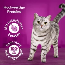Whiskas Pure Delight Mega Pack Geflügel Ragout In Gelee 40 X 85g -Geschäft Für Heimtierbedarf 9f640c36363dfb61f5b5632a4b10e09a36dea899 1410723 de DE Whiskas2 1
