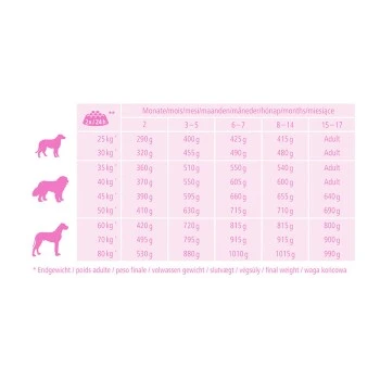 MultiFit Junior Maxi Mit Geflügel & Reis 12kg 2 MultiFit Junior Maxi Mit Geflügel & Reis 12kg – Bild 2