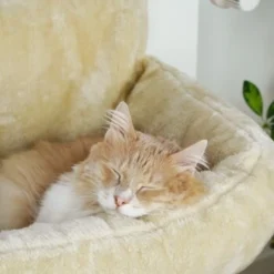 Schlitzohr Heizungsliege Lucky Beige -Geschäft Für Heimtierbedarf bdc02033928d033279e49ebefe91371e629dfd2f 1484673 de DE 4daf09016934a9074c92f48c173e840fa6385a4agwWEjb