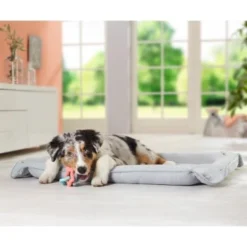 AniOne 2in1 Liegeplatz Pepe & Kitty S 5 AniOne 2in1 Liegeplatz Pepe & Kitty S -Geschäft Für Heimtierbedarf c0b1c57ce9a81460ac4881703e585fea19070439 7b3c609afbafd568a967e70d6389fb43f36e72f6