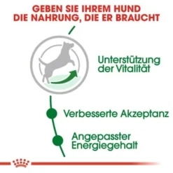 ROYAL CANIN Mini Adult 8+ 8 Kg -Geschäft Für Heimtierbedarf c353b0de3f48a724e716c1c76485d0baab2f2c1c b5e80ca1f67a73b432838d9b8dc4feac61bcbeef