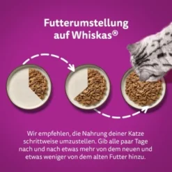 Whiskas Pure Delight Mega Pack Geflügel Ragout In Gelee 40 X 85g -Geschäft Für Heimtierbedarf d6a8a09c8b825d7ad1f2bed51042c49fcc323dab 1410723 de DE Whiskas 5
