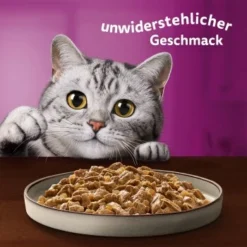 Whiskas Pure Delight Mega Pack Geflügel Ragout In Gelee 40 X 85g -Geschäft Für Heimtierbedarf fb884326dc9636e4843c68e11f5586233a08be8f 1410723 de DE Whiskas 8