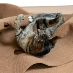 Canadian Cat Company Spielteppich Für Katzen Braun -Geschäft Für Heimtierbedarf feeb1471a0788eb13995861dfe89bb445b21d4b8 1394213 de DE 4a32360e22e339a18cf0f9a52c488f1077251d777uzNQw